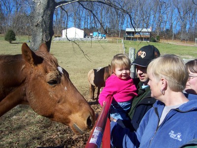 Sarah & Horse