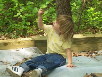 Sarah studying a branch.